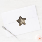 Sticker Étoile Belle Chat à la Sepia (Enveloppe)