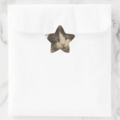 Sticker Étoile Belle Chat à la Sepia (Sac)