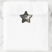 Sticker Étoile Black Gold Western Cowhide (Sac)