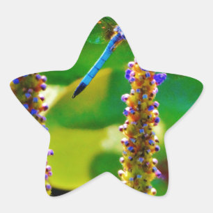 Sticker Étoile Bleu libellule et fleurs