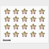 STICKER ÉTOILE BLOSSAGES (Feuille)