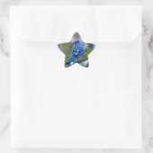 Sticker Étoile Blue Jay (Sac)