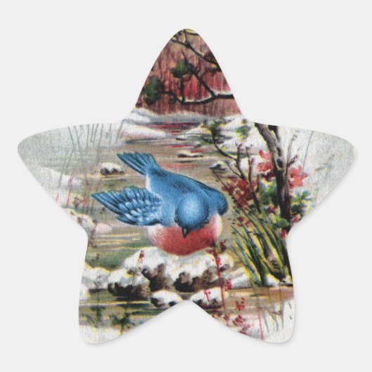 Sticker Étoile Bluebirds en hiver Vintage Noël (Devant)