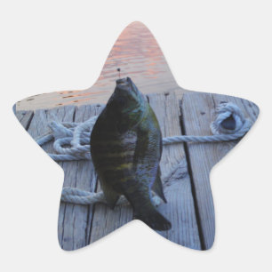 Sticker Étoile Bluegill au coucher du soleil Lac Arrowhead