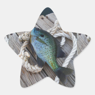Sticker Étoile bluegill sur quai
