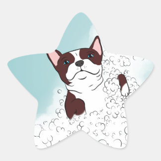 Sticker Étoile Boston Terrier Bath