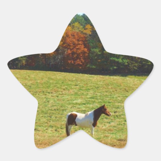 Sticker Étoile Brown & cheval blanc, arbres d'automne, ciel bleu (Devant)