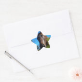 Sticker Étoile Brown et crème Couleur Cheval bleu ciel (Enveloppe)