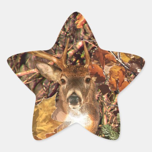 Sticker Étoile Buck in Hunter Camo White Tail Deer (Devant)