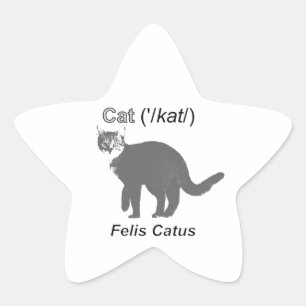 Sticker Étoile Chat Felis Catus
