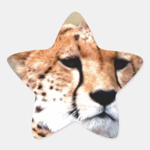 Sticker Étoile Cheetah Portrait par Pleine lune : La grâce de la