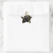 Sticker Étoile Chemin de fer historique (Sac)