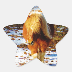 Sticker Étoile Cheval miniature brun et crème dans la neige.