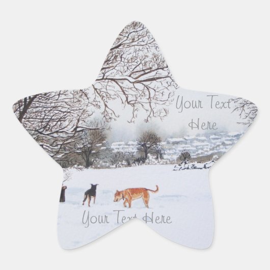 Sticker Étoile chiens jouer hiver neige paysage paysage paysage (Devant)