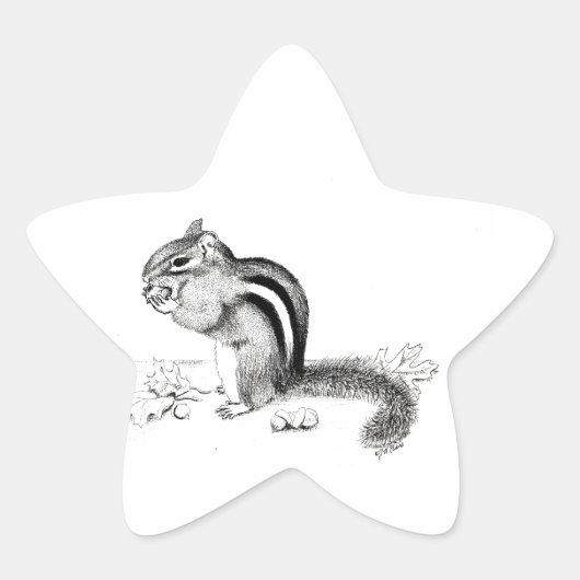 Sticker Étoile Chipmunk (Devant)