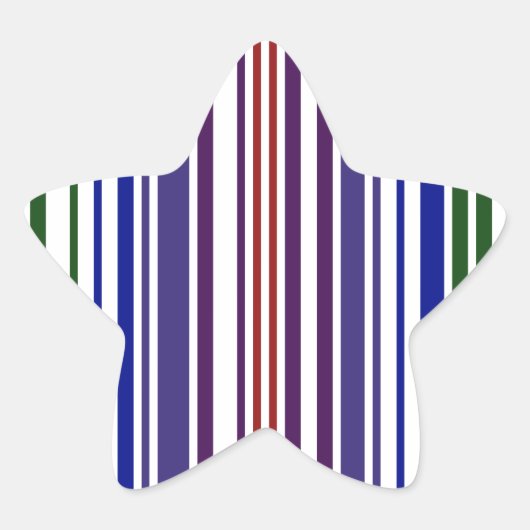 Sticker Étoile Code barre double arc-en-ciel (Devant)