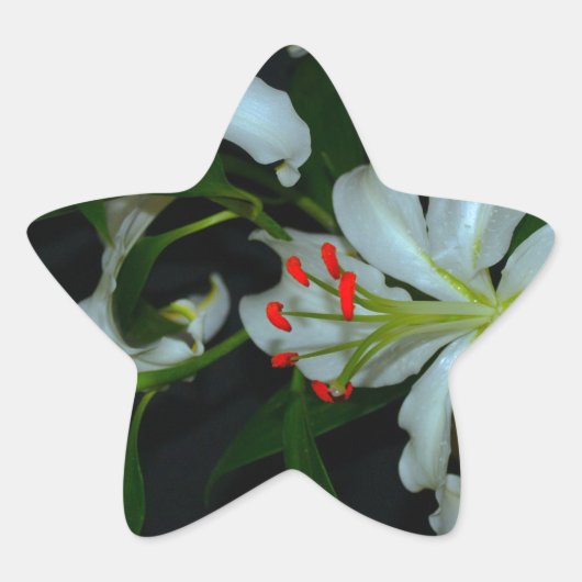 Sticker Étoile Collection Irlandaise de laiton et de fleurs (Devant)