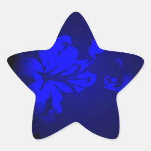 Sticker Étoile Conception Irlandaise-La Collection Fleur