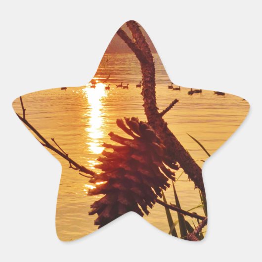 Sticker Étoile Coucher de soleil du lac Pinecone (Devant)