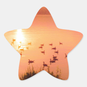 Sticker Étoile Coucher de soleil rose et de lac de pêche
