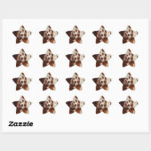 Sticker Étoile Crème Brown Vachette du sud-ouest (Feuille)