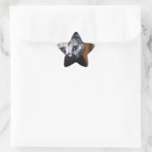 Sticker Étoile Cute Kitten noir et blanc (Sac)