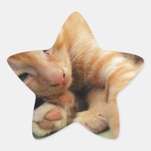 Sticker Étoile Cute Tiger Stripe Kitten (Devant)