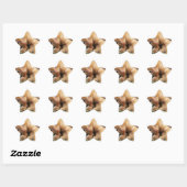 Sticker Étoile Cute Tiger Stripe Kitten (Feuille)