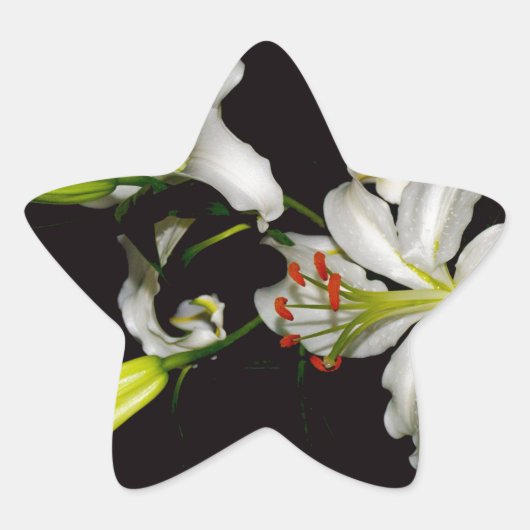 Sticker Étoile Design irlandais - Collection de laiton et de fleu (Devant)