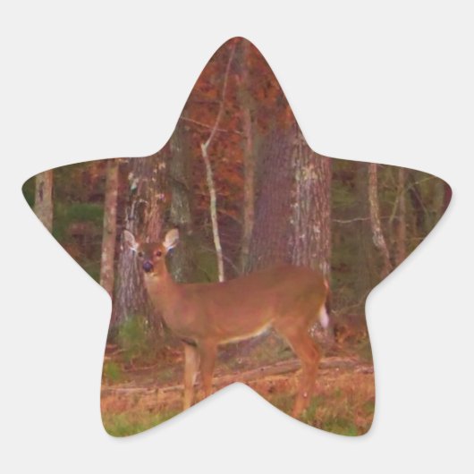 Sticker Étoile Doe a Deer in Lake Arrowhead (Devant)
