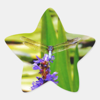 Sticker Étoile Dragonfly lotus and purple flower