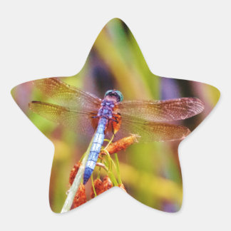 Sticker Étoile Dragonfly turquoise sur le carex
