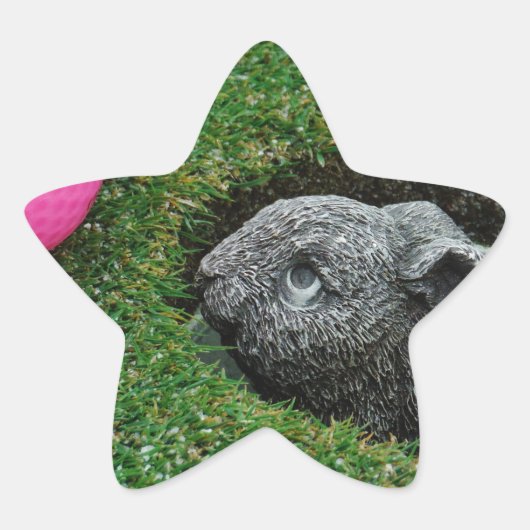 STICKER ÉTOILE DSCF0652.JPG (Devant)