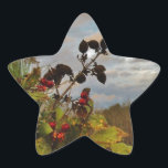 Sticker Étoile Elegant Holly Christmas,<br><div class="desc">Elégant Noël Holly,  ciel bleu Photo de Sandy Closs Noël Saint Noël,  baies,  "baies saintes""baies sèches""élégantes fêtes de Noël""fleurs de Noël""fleurs de Noël""fleurs de Noël"bleu vert blanc</div>