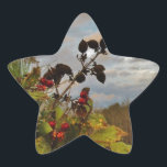 Sticker Étoile Elegant Holly Christmas,<br><div class="desc">Elégant Noël Holly,  ciel bleu Photo de Sandy Closs Noël Saint Noël,  baies,  "baies saintes""baies sèches""élégantes fêtes de Noël""fleurs de Noël""fleurs de Noël""fleurs de Noël"bleu vert blanc</div>