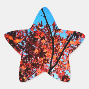 Sticker Étoile Feuilles d'automne