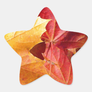 Sticker Étoile Feuilles d'automne - Etonnant!