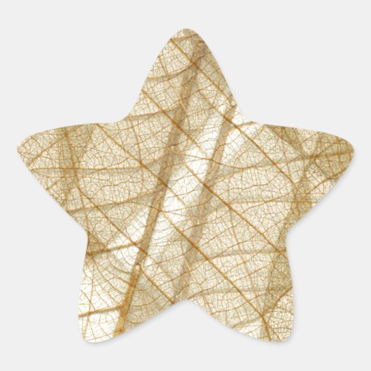 Sticker Étoile Feuilles en dentelle beige crème pâle (Devant)