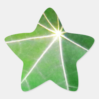 Sticker Étoile FEUILLES VERTES fraîches cadeau sain