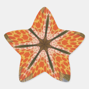 Sticker Étoile Fleur de l'étoile de la savane – Une impression au