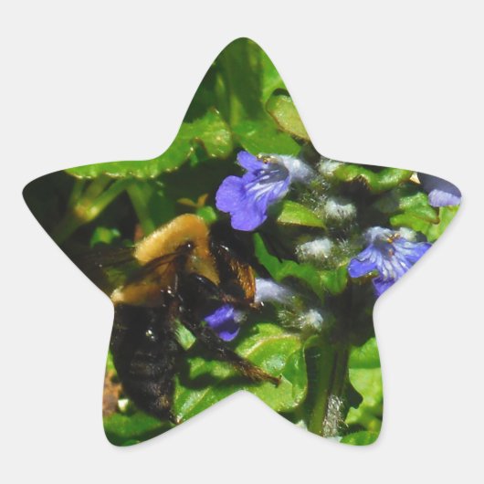 Sticker Étoile Fleur violette et abeille boursouflante (Devant)