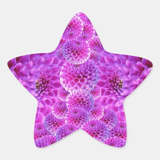 Sticker Étoile Fleurs rose PomPom Dahlia (Devant)