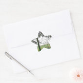 Sticker Étoile Forest overlooking clearing in the fog (Enveloppe)