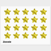 Sticker Étoile Gold Star (Feuille)