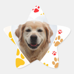 Sticker Étoile Golden Retriever Chien Coeurs Pâtes Imprimer