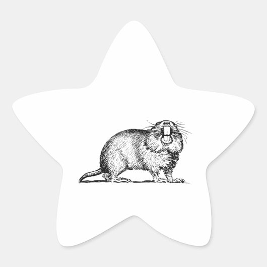 Sticker Étoile Gopher (Devant)