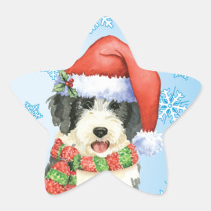 Sticker Étoile Happy Howliday Beardie
