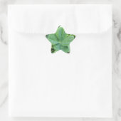 Sticker Étoile Housse à quatre feuilles (Sac)