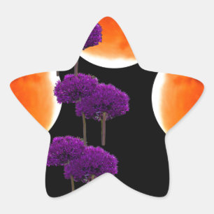 Sticker Étoile Intrusion violette