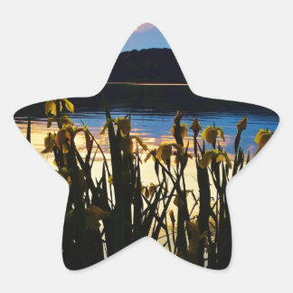Sticker Étoile Iris jaunes sur la rive du lac Arrowhead